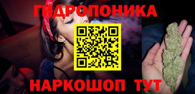 гашик Бузулук