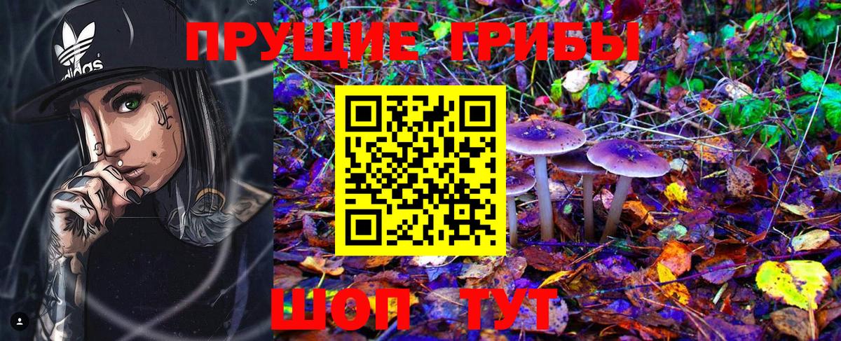 Псилоцибиновые грибы Cubensis Сальск
